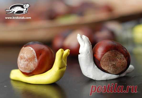 Snail for the smallest | krokotak