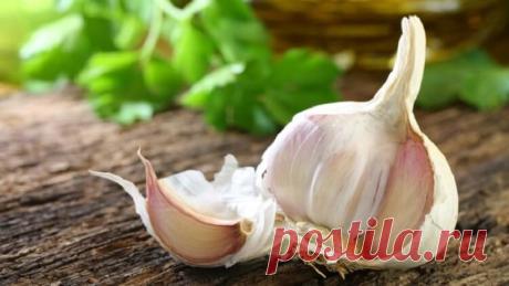 7 народных методов избавления от герпеса — Планета и человек