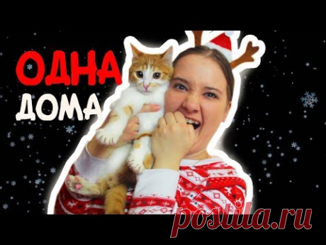 Одна Дома На Новый Год