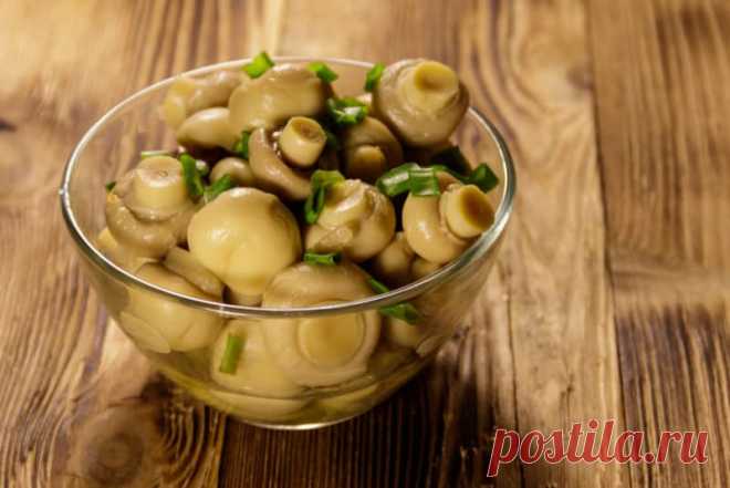 Блюда из шампиньонов: 10 непревзойдённых и вкусных блюд из любимых грибочков - Сабрина