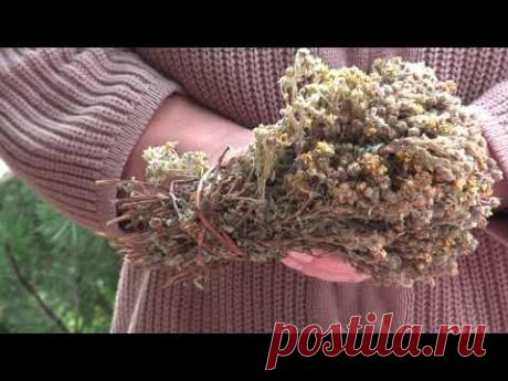 грыжа пищевода