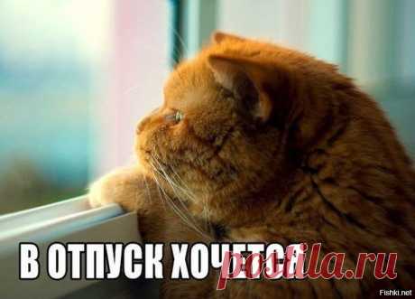 Посты пользователя zmey72