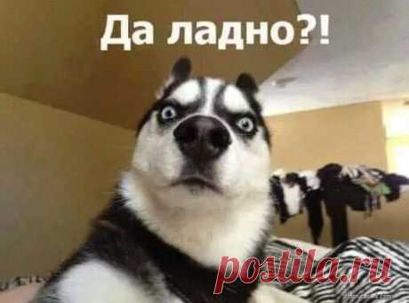 ффф