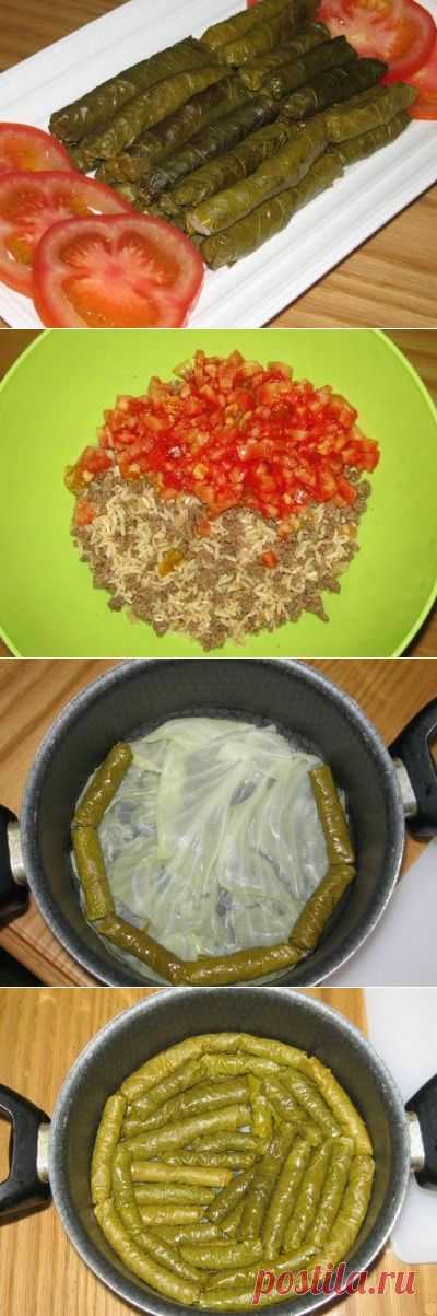 Виноградные листья по-ливански ( Варакайниб )