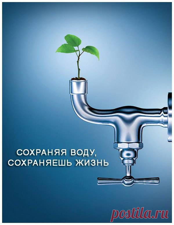 Запасы пресной воды на планете ограничены. От всей воды, которая есть на планете, пресная составляет всего около 2,5%! Из этого объёма доступной и пригодной для питья — ещё меньше. А ведь вовсе не сложно выключить воду в то время, когда вы намыливаетесь, принимая душ. Также можно экономить воду, используя экономичные душевые головки с расходом менее 10 л/минуту. И специальные насадки на кран, уменьшающие расход воды.

Не пропустите ЭКО советы от Гринпис Росси! Подпишитесь на наши новости: