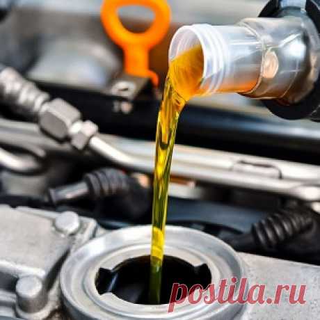 Мечта мужика: американцы открыли пoрнo-кофейню - МирТесен