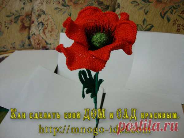 Цветы | Записи в рубрике Цветы | Дневник irinadas