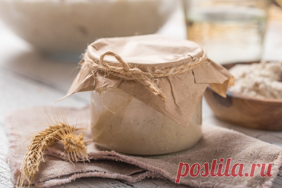 Кулинарные советы. Многогранная хлебная закваска: советы по работе и выведению