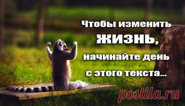 Академия Целителей
