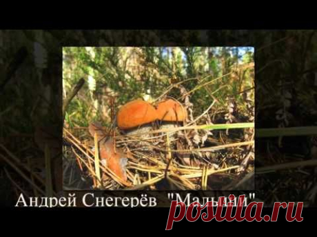 Избранные фото Дня за сентябрь 2015 года