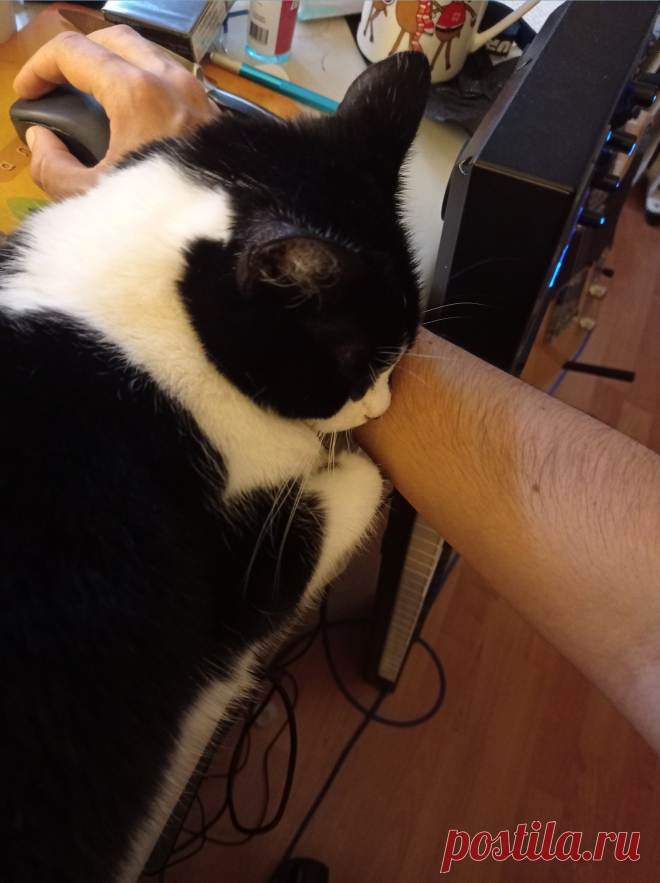Robin (@nonamenosocks) / Twitter