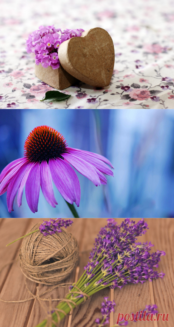 Beatufu lightl purple search results - Page 18. EskiPaper.com Cool Wallpapers