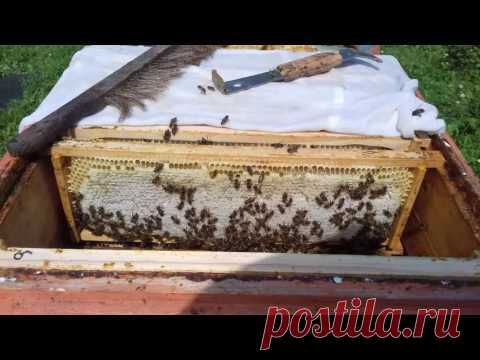 Медосбор-Качка/ Один день из жизни пчеловода