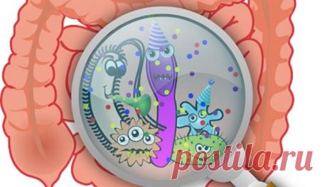 Как очистить кишечник и похудеть на 15 кг, используя 2 ингредиента