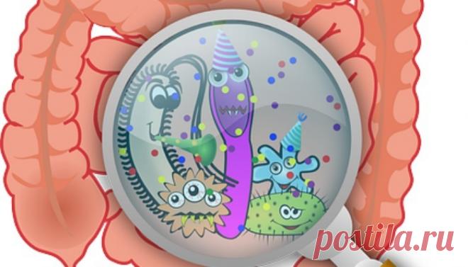 Как очистить кишечник и похудеть на 15 кг, используя 2 ингредиента