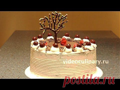 Рецепт - Торт Черный лес от https://videoculinary.ru - YouTube