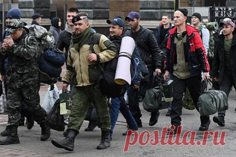 В российском регионе вернули семь ошибочно мобилизованных мужчин. Семь ошибочно мобилизованных жителей Дагестана вернулись домой. Об сообщила пресс-служба Общероссийского народного фронта (ОНФ) в российском регионе. В частности, вернуться к семье смог отец троих малолетних детей из города Избербаш, который ухаживает за отцом-инвалидом первой группы.