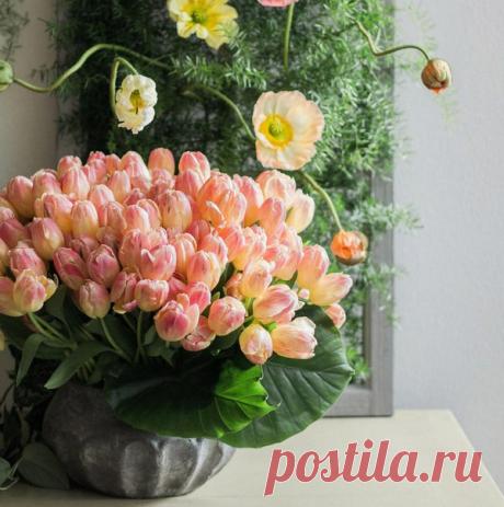хх