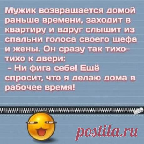 Порция отличного юмора для шикарного настроения: 25 анекдотов, шуток и история в картинках