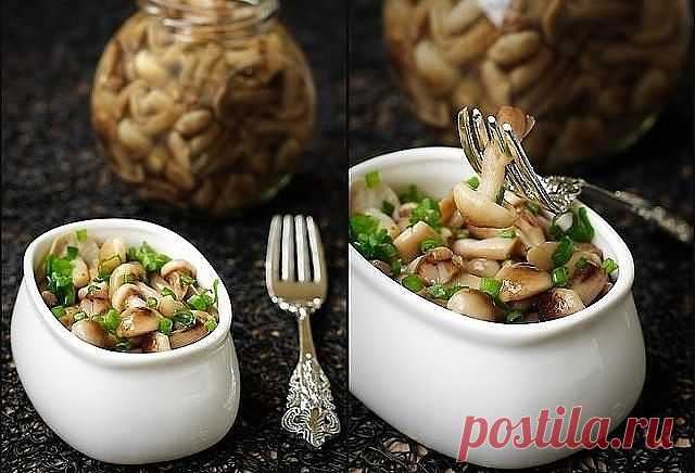 Маринад для грибов ( Опят, маслят, белых и т.д )
1 литр воды; 
2 ст. л. сахара; 
4 ч. л. соли; 
3 шт. лаврового листа; 
6 горошин душистого перца; 
4 шт. гвоздики; 
3 кусочка корицы (молотой ½ ч. л.) ; 
3 ч. л. уксусной эссенции 70 %. 
При использовании столового 5% уксуса необходимо взять 800 мл воды и 200 мл 5% уксуса. При использовании 9% уксуса - 890 мл воды и 110 мл 9% уксуса. 
ПРИГОТОВЛЕНИЕ: 
Вскипятить воду, добавить специи, проварить минутки три (уксус добавить в с...