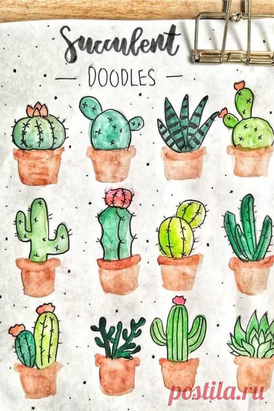 If you're looking to decorate your bullet journal then you need to check out these adorable cactus and succulent doodle tutorials for inspiration!
