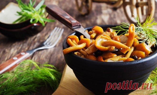 Вкусные маринованные грибы – подборка рецептов с фото | Статьи (Огород.ru)