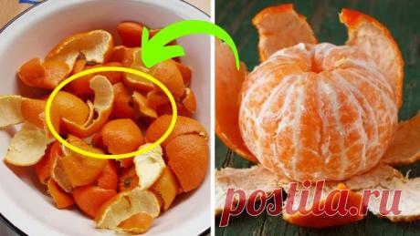 Никогда не выбрасывайте мандариновые корки! — Домашние заботы