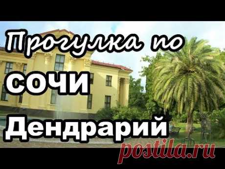 Отдых в Сочи, пляжи. Экскурсия в Дендрарий.