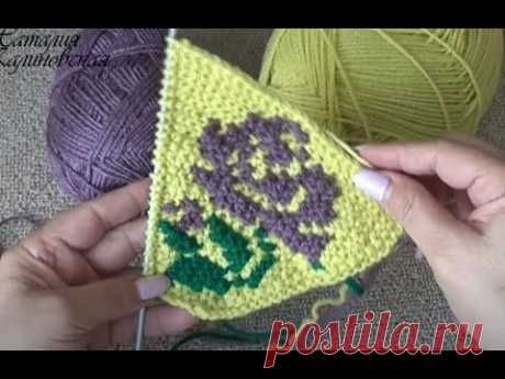 Бесподобно красивая роза