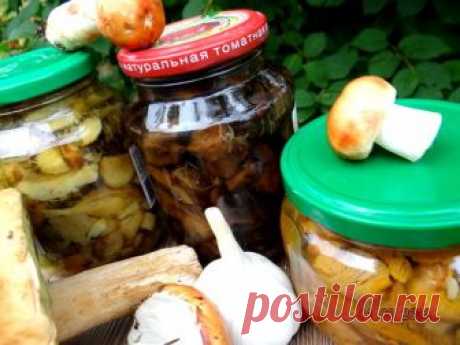 Грибочки с чесноком маринованные (вариант)