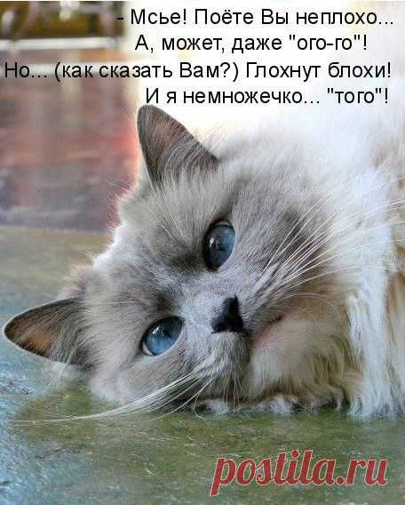 Мой Мир@Mail.Ru