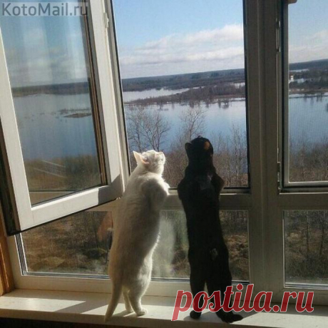 На улице весна
