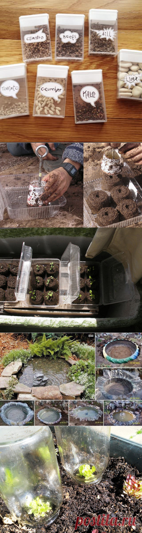 22 Incredible Budget Gardening Ideas | Garden Ideas On A Budget | Balcony Garden Web