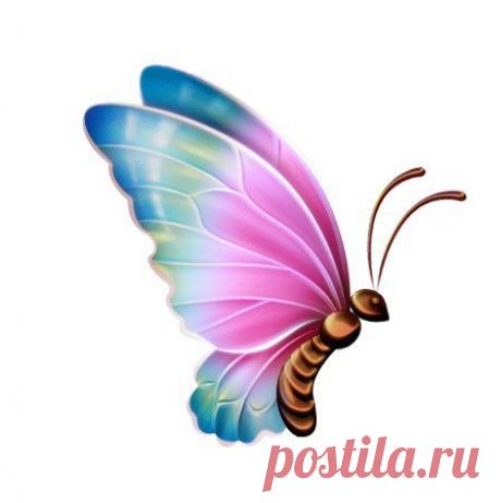 Картинки для творчества | 1 772 фотографии | ВКонтакте