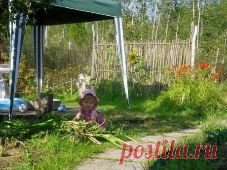 Хитрости и советы огородников
