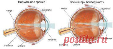 Одноклассники