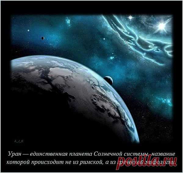 Факты обо всем на свете от 26-02-2014 (20 фото)
