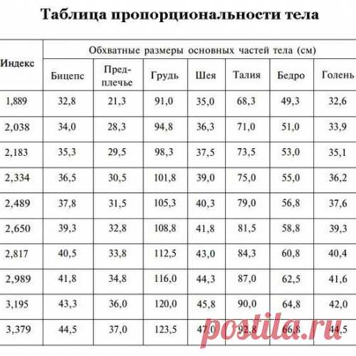 Узнайте, насколько пропорционально ваше тело