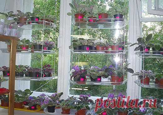 Полочки для фиалок.....
