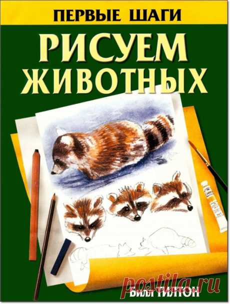 Рисуем животных. Первые шаги. (Часть - II)