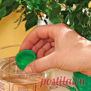 Простые и действенные способы удобрения домашних растений - МирТесен