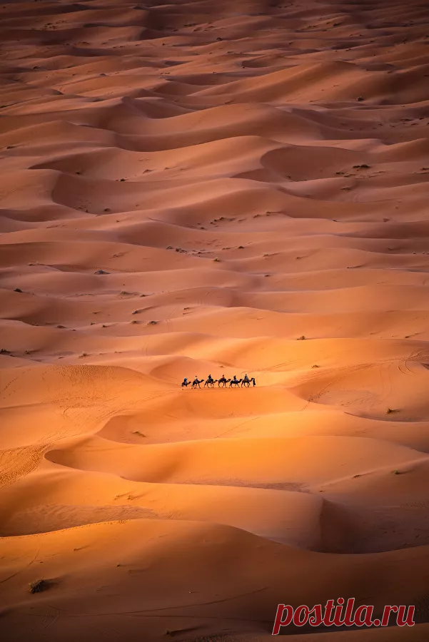 Объявлены лучшие фотографии 2019 года! | Галерея 