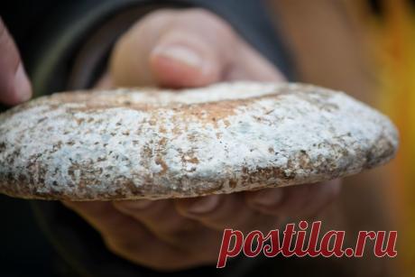 "Товарищ" от дисбактериоза: matilda_i_ja