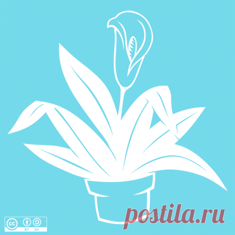 ⭐Автор: Paula Gail ⭐Источник:vk.com/wall-219473264_231
Спатифиллум
Скачать👉
ЯндексДиск - https://disk.yandex.ru/d/pFiWtmCqWGb3Xg

Цветы 62
#вытынанка #вырезка #svg #dxf #pdf #макет #шаблон #трафарет #оформление
вытынанка вытынанки svg dxf pdf макеты шаблоны трафарет вектор
оформление окон панно наклейка лобзик лазер чпу
выцінанка витинанка вырезка выцинанка вытыканка