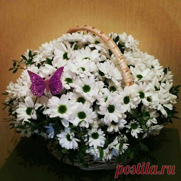 Цветы на стену - Группы Мой Мир