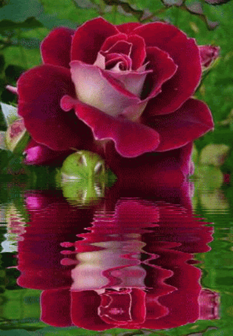 Найдено на сайте s415.photobucket.com.