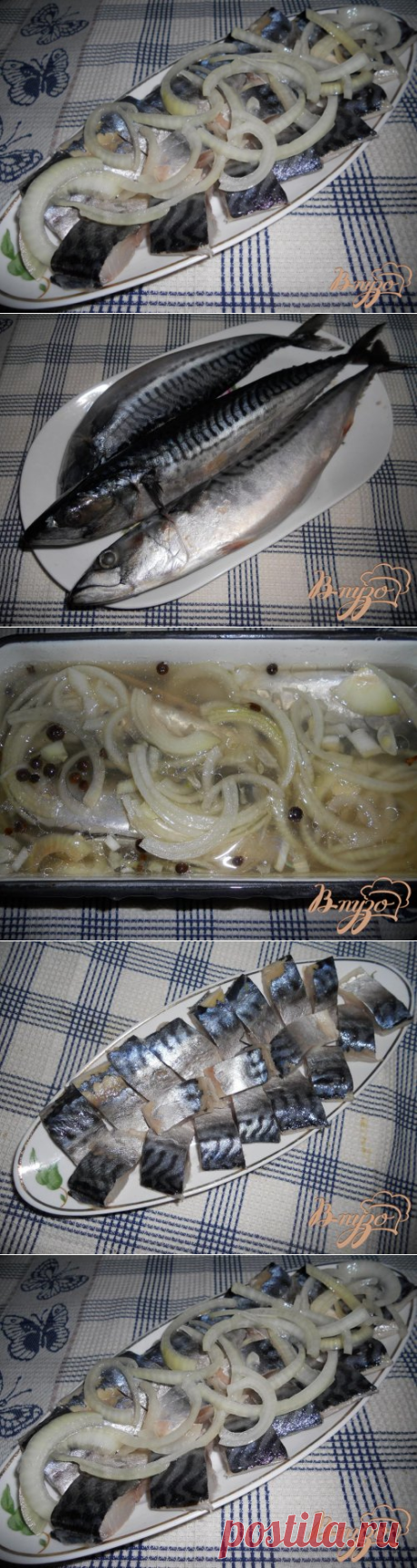 Скумбрия маринованная по-домашнему - пошаговый рецепт с фото