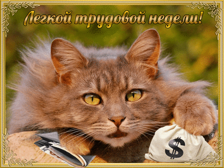 Галерея поздравлений - Группы Мой Мир