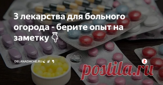 3 лекарства для больного огорода - берите опыт на заметку👇 Фото из открытого источника, выполняет роль иллюстрации
Выйдя на пенсию я на все лето переселилась жить в сад. Как оказалось, для получения обильного урожая нужен не только физический труд, но и постоянное применение смекалки. Много рецептов по уходу и лечению болезней растений подсказали соседи, пришло время и мне поделиться своими придумками. По своей бывшей профессии я фармацевт, поэтому для ле