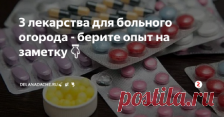 3 лекарства для больного огорода - берите опыт на заметку👇 Фото из открытого источника, выполняет роль иллюстрации
Выйдя на пенсию я на все лето переселилась жить в сад. Как оказалось, для получения обильного урожая нужен не только физический труд, но и постоянное применение смекалки. Много рецептов по уходу и лечению болезней растений подсказали соседи, пришло время и мне поделиться своими придумками. По своей бывшей профессии я фармацевт, поэтому для ле